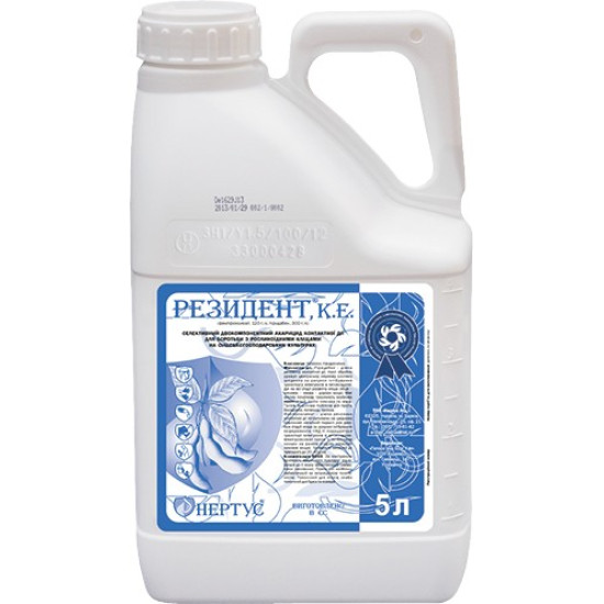 Резидент (5л)