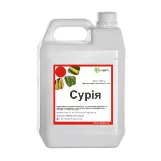 Сурія (5л)
