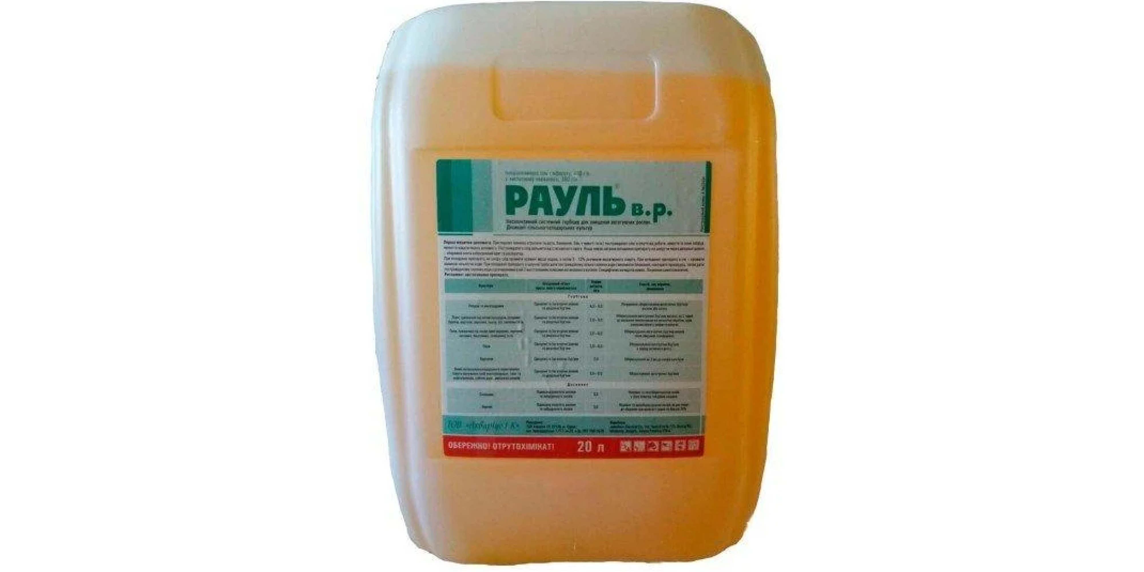 Рауль (20л)
