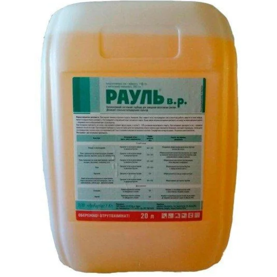 Рауль (20л)