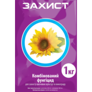 Захист (5кг) (Танос)