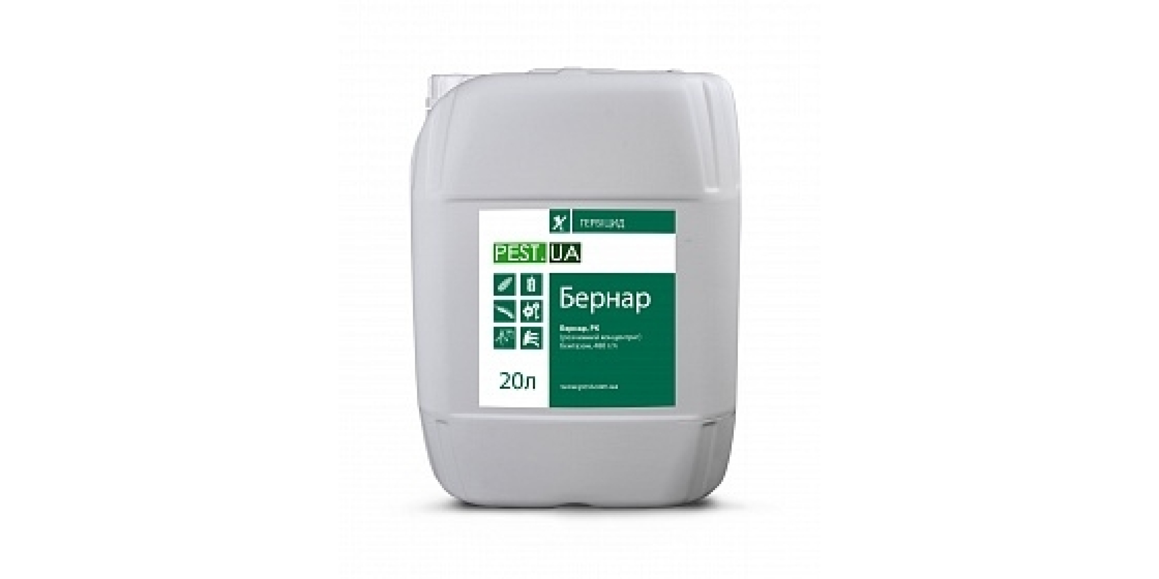 Бернар (20л) (Базагран)