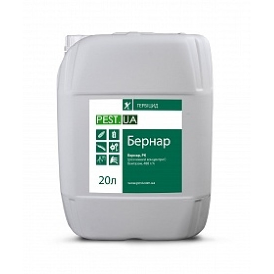 Бернар (20л) (Базагран)
