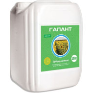 Галант (20л)