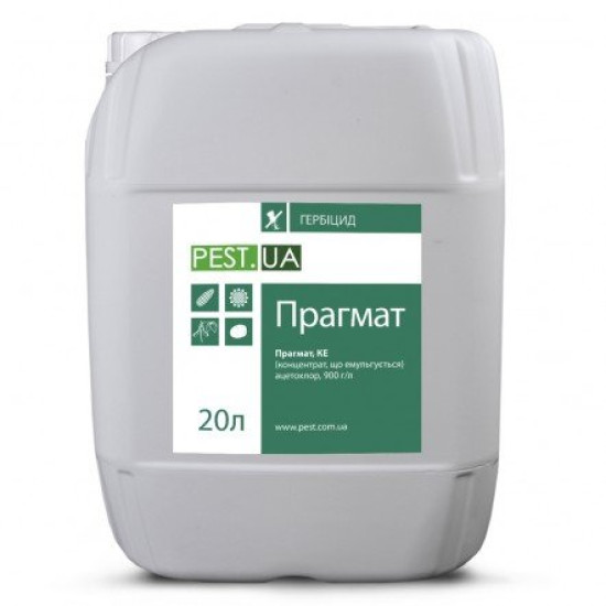 Прагмат (20л)