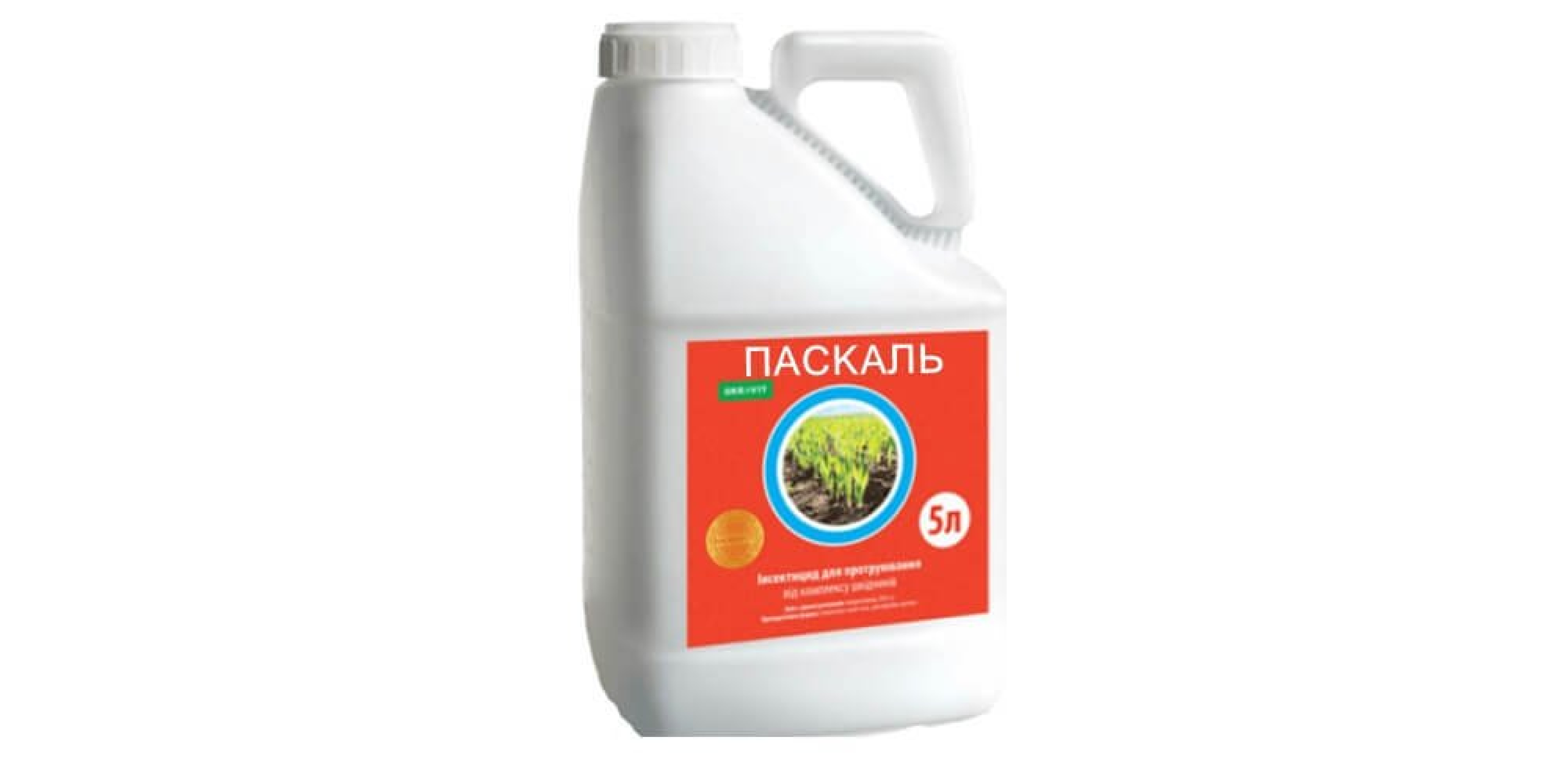 Паскаль (5л)