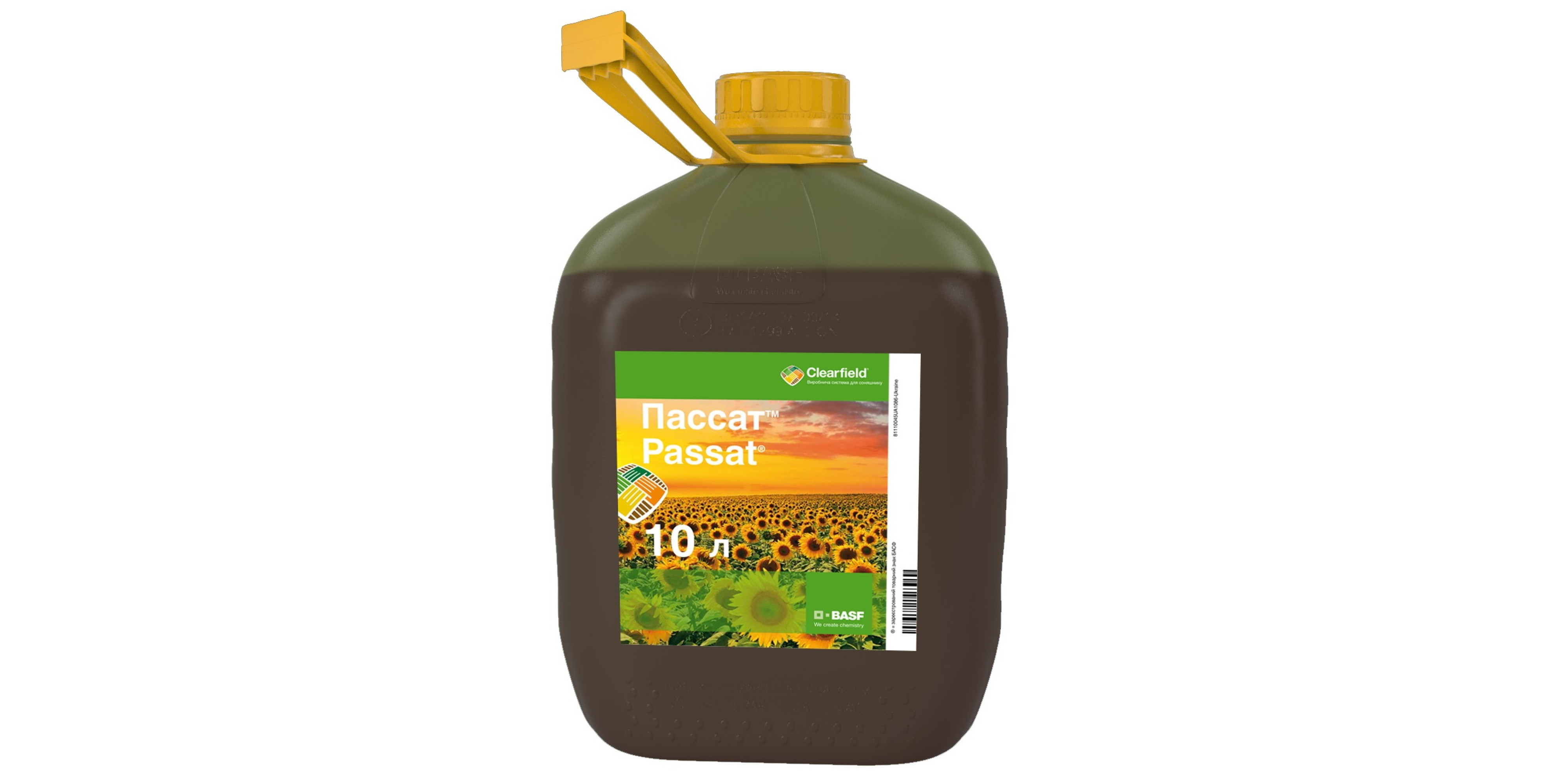 Пассат (10л)