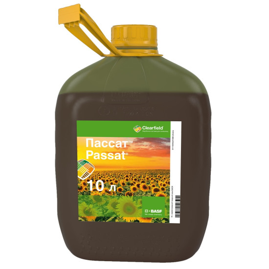 Пассат (10л)