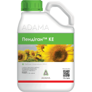 Пендіган (10л)
