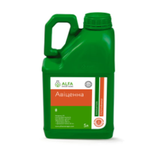 Авіценна (5л)