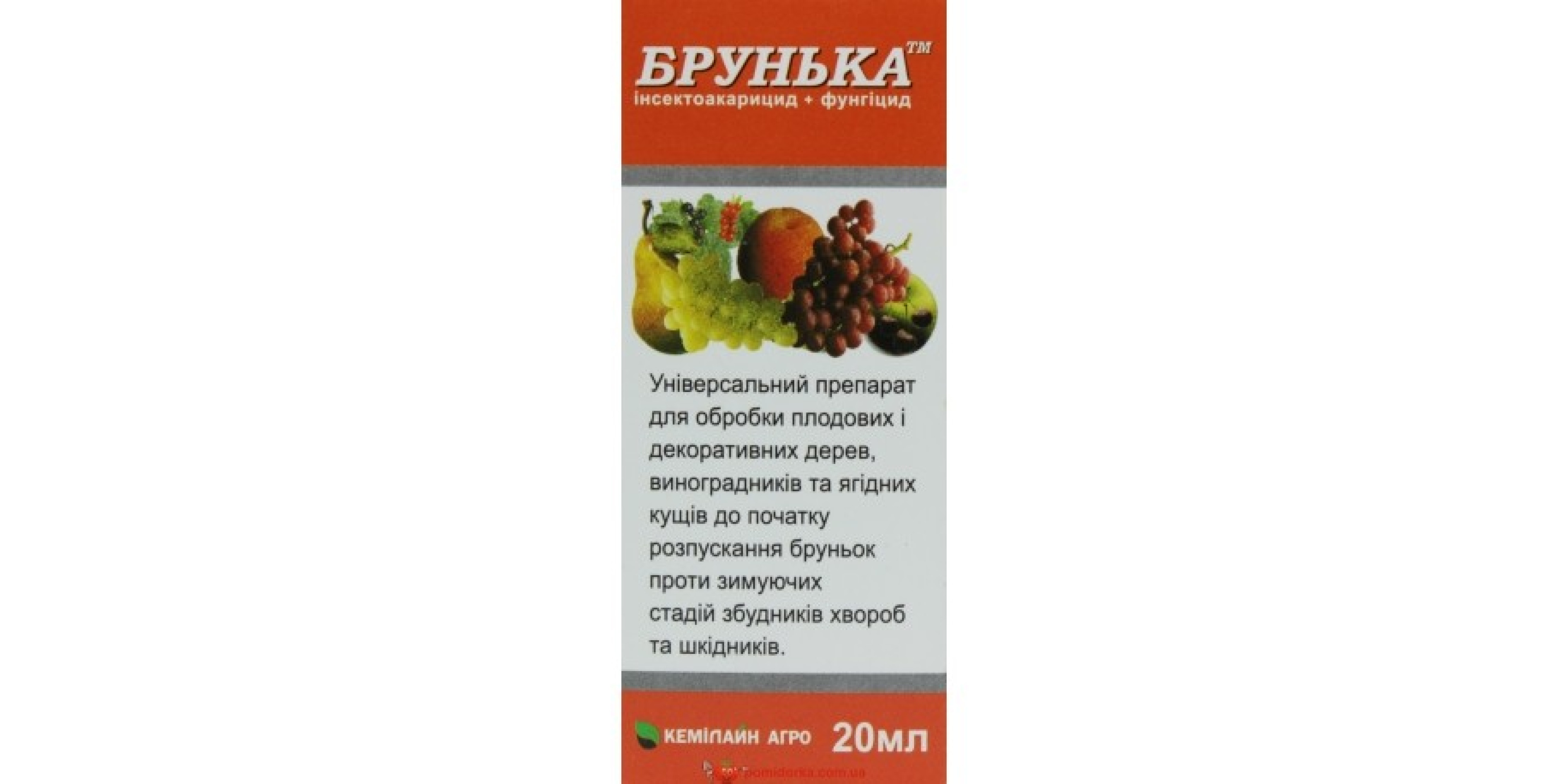 Брунька р.к.