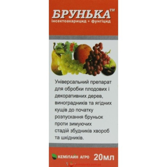 Брунька р.к.