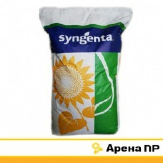 Арена ПР