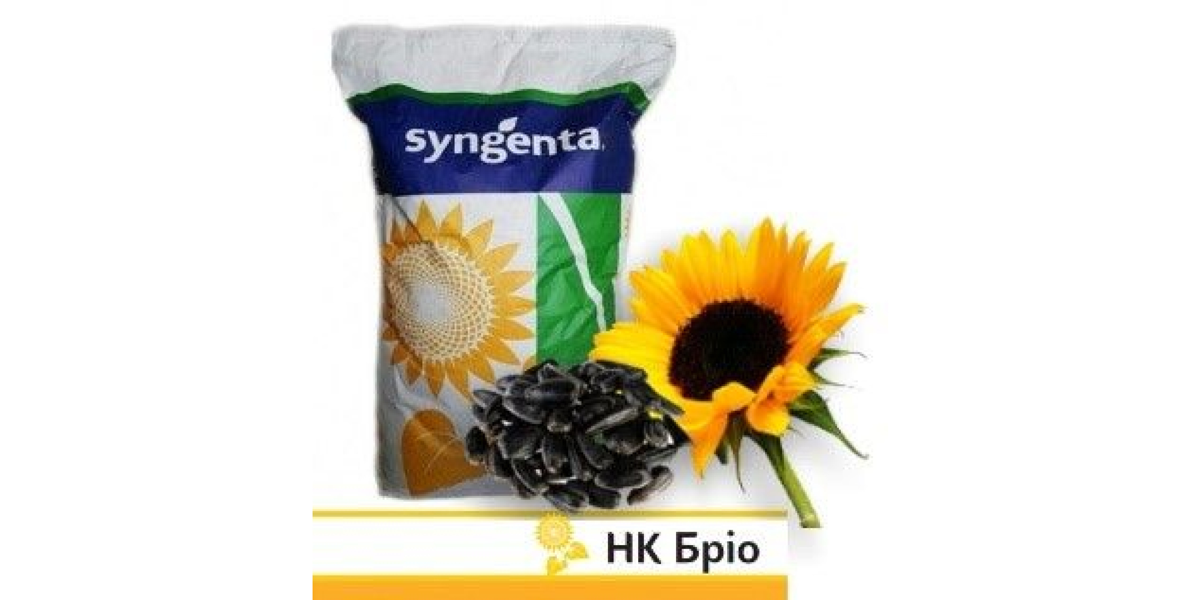 НК Бріо Круїзер