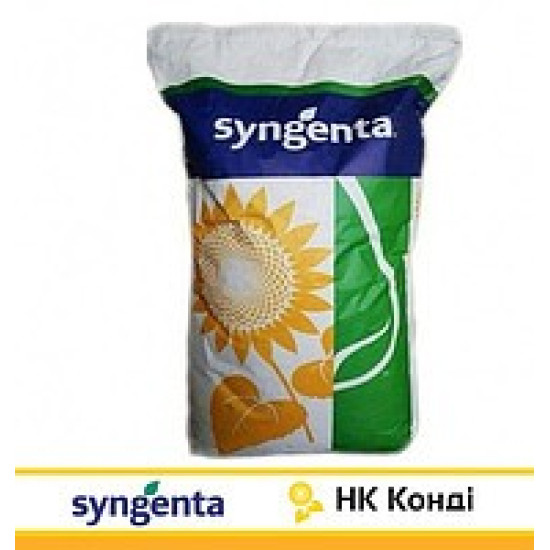 Конді (Круїзер+Форс)