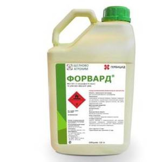 Форвард (10л)