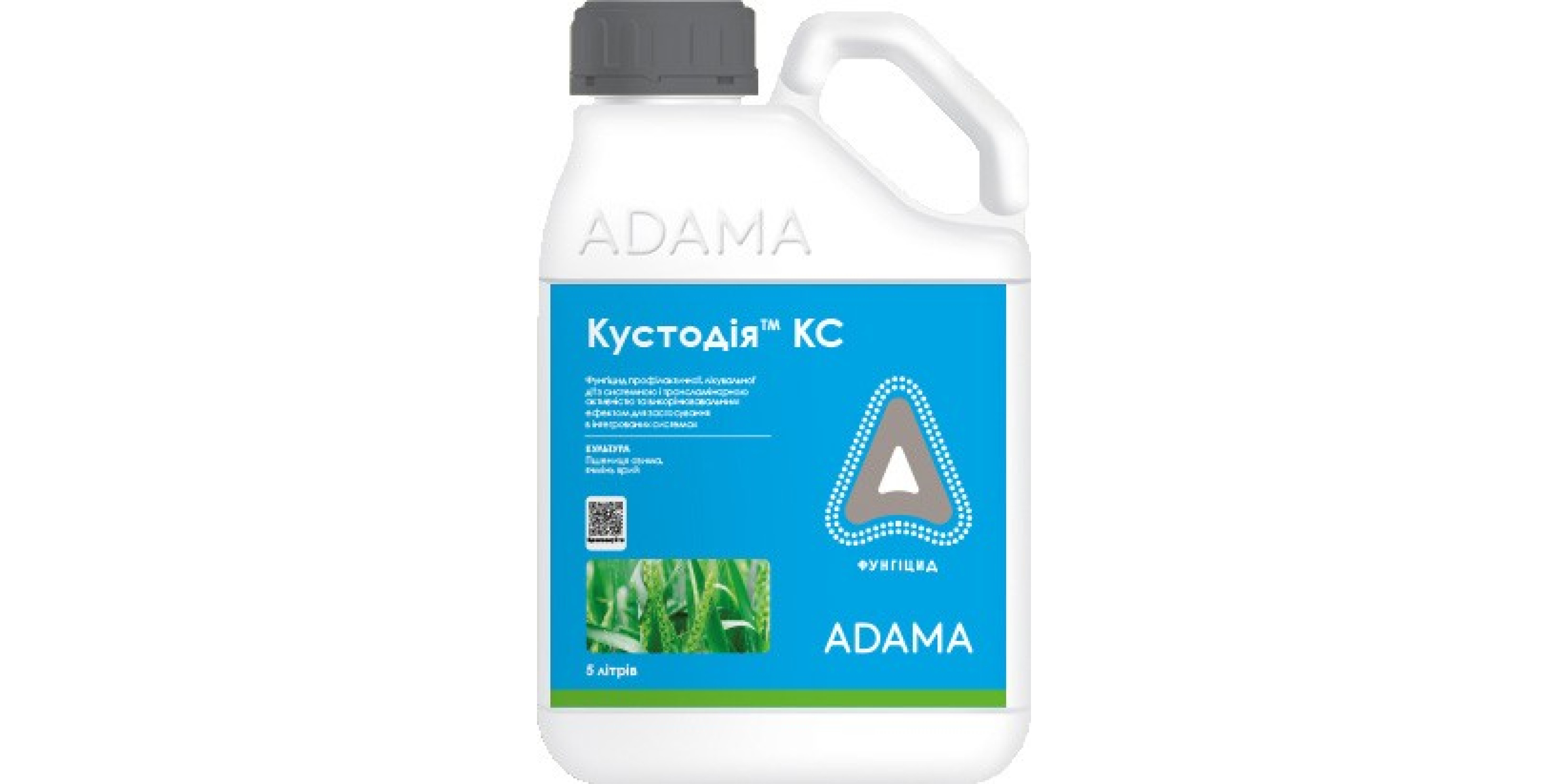 Кустодія (5л)