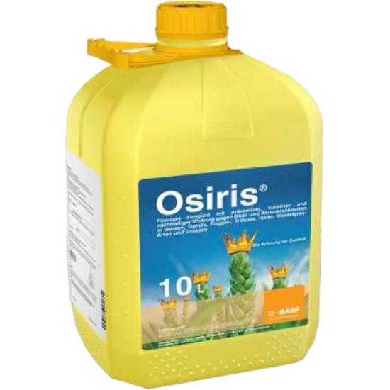 Осіріс Стар (10л)