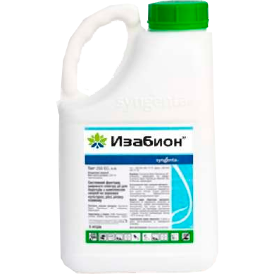 Ізабіон