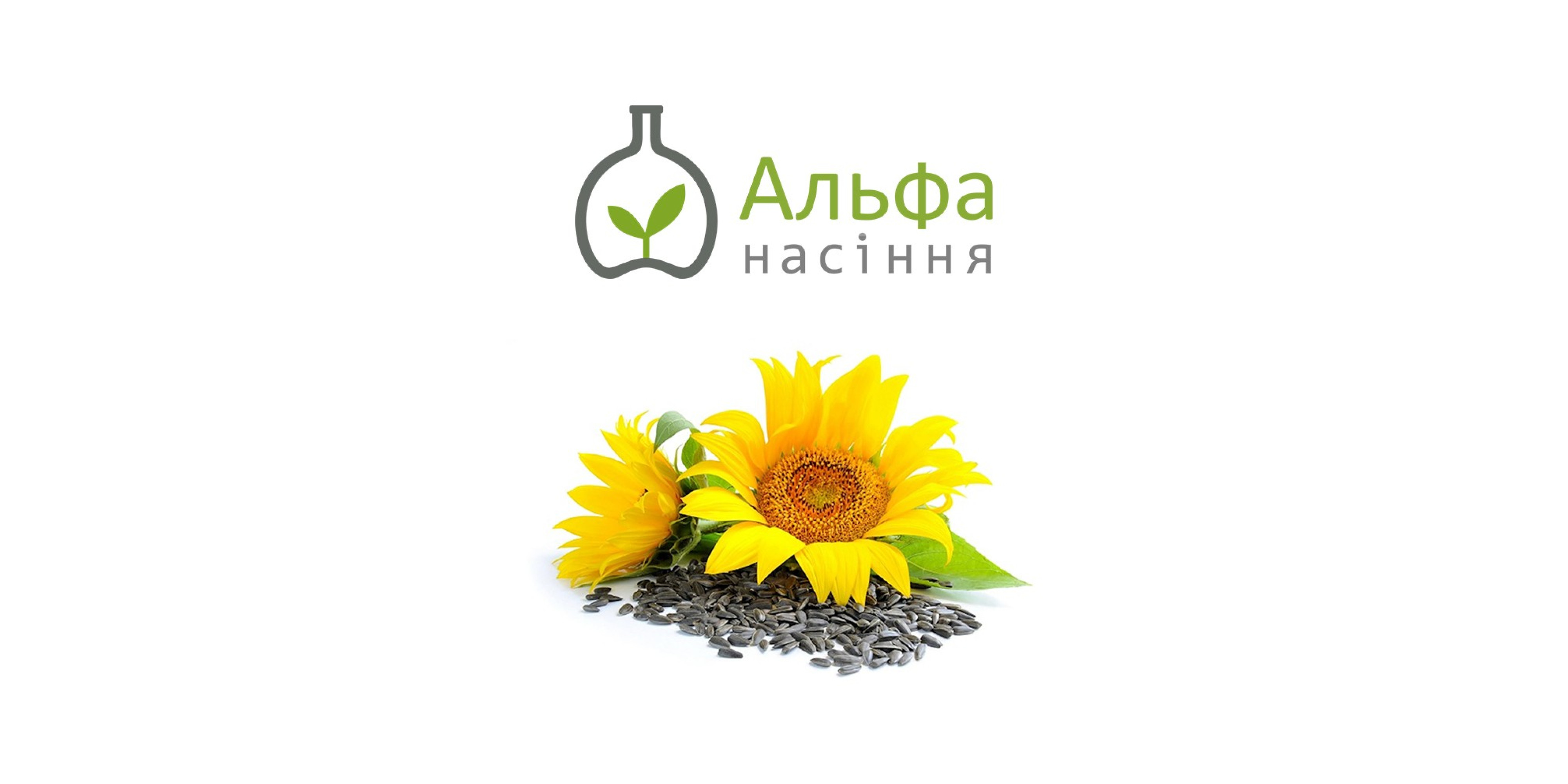 Арлет