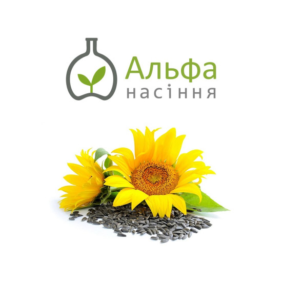 Мішель