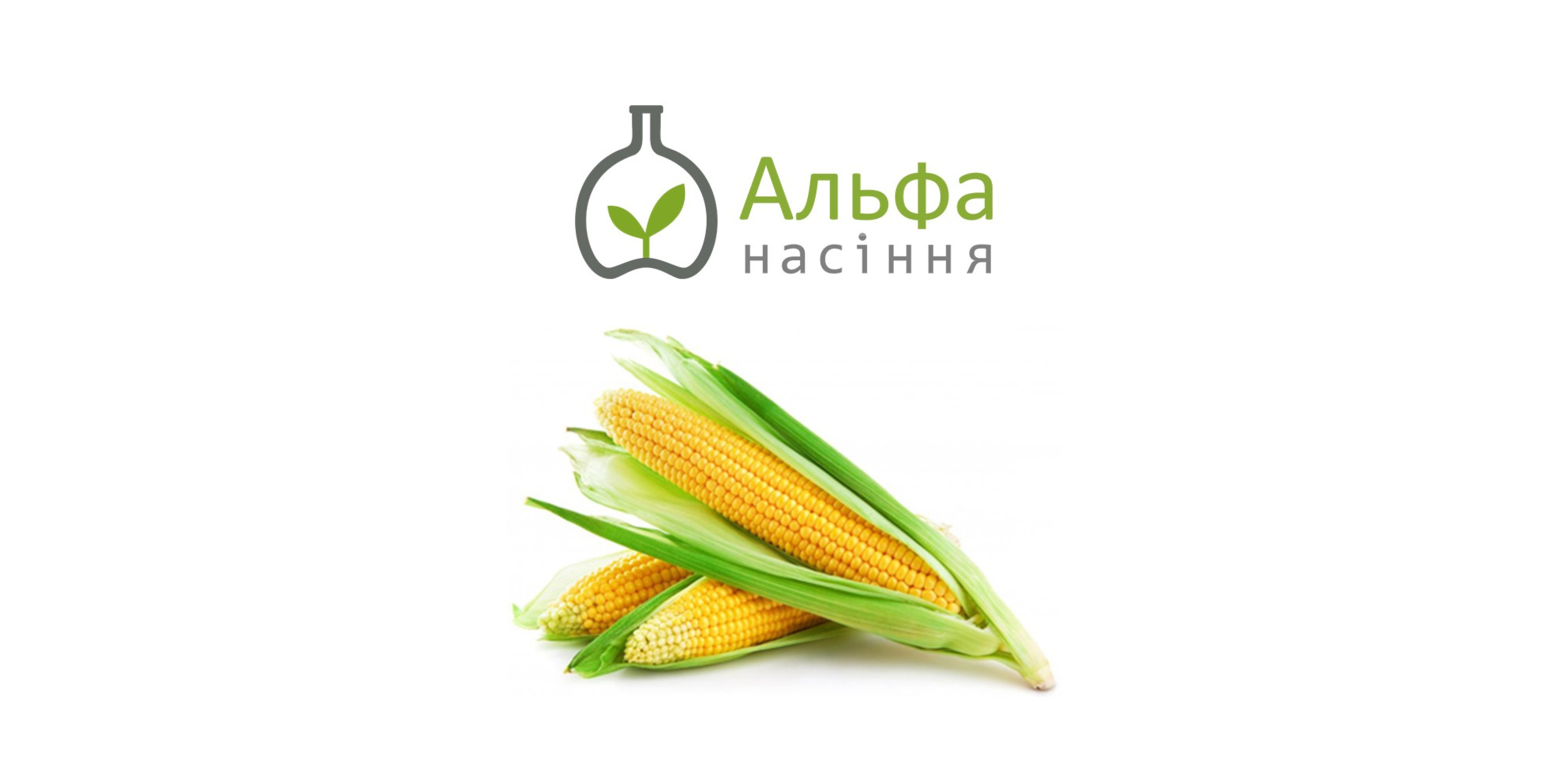 Фруктіс