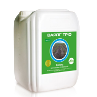 Варяг Тріо (20л)