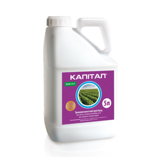 Капітал (5л)