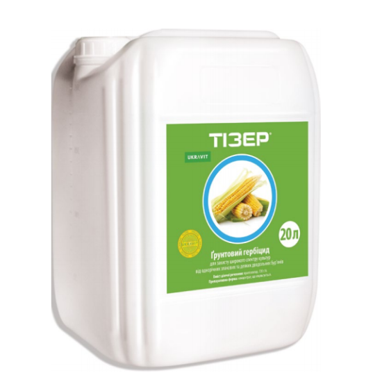Тізер (20л)