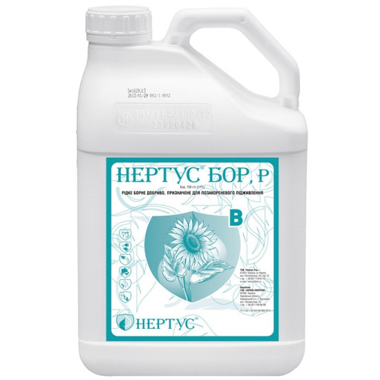Нертус Бор (20л)