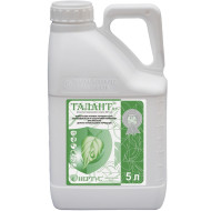 Талант (5л)