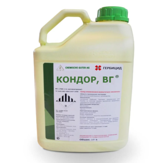 Кондор (10л)